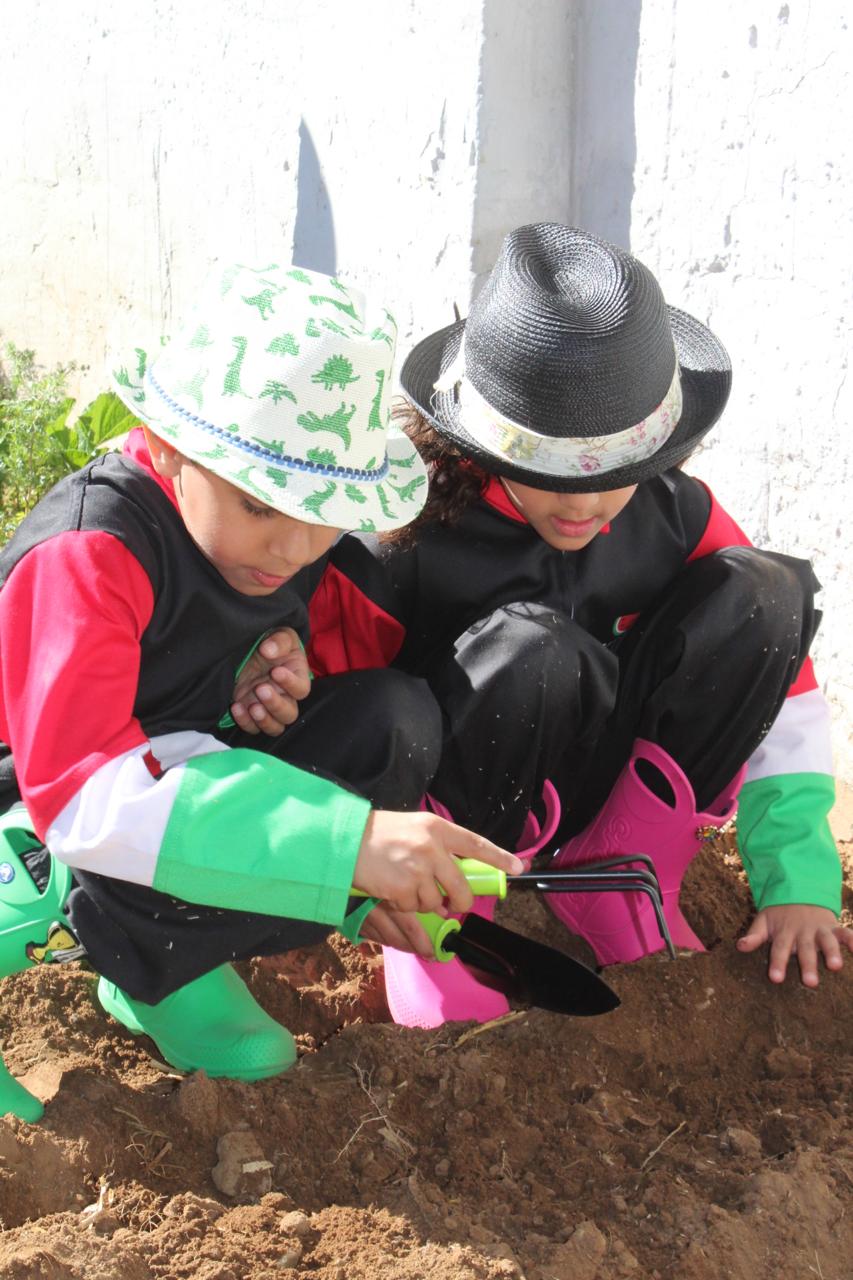 Sunridge Sprouts Program