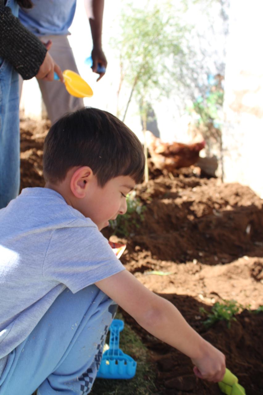 Learning environmental responsibility